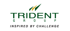 Trident-Logo.gif (2266 bytes)
