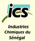 ICS-Logo.gif (6800 bytes)