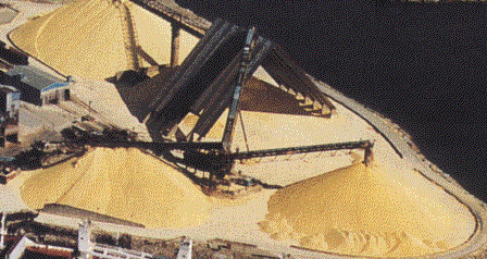 sulphurpile.GIF (47840 bytes)